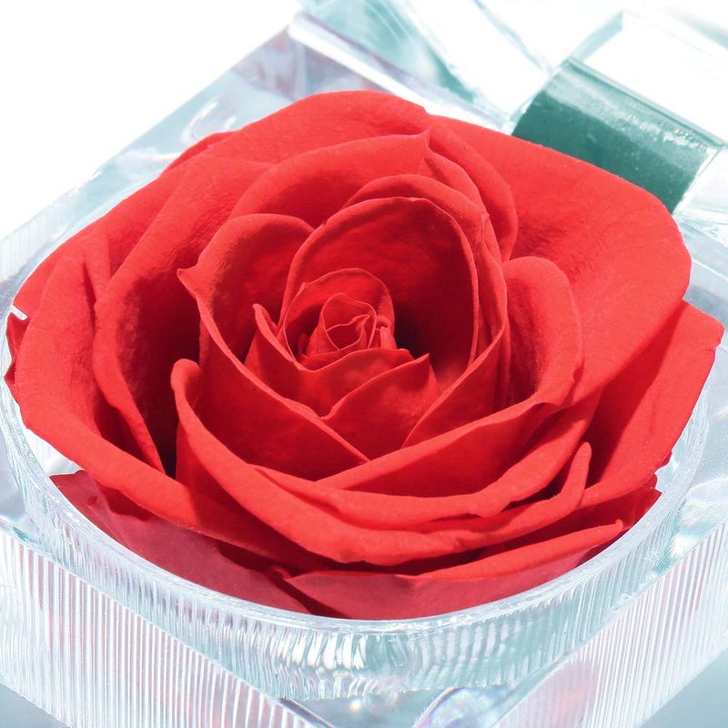 Enchanted Rose in Acrylic Crystal Ring Box, Handmade Real Preserved Fresh Flower Eternity Rose Romantic Gift for Her Mother's Day Surprise Mom Wife (Red) - Image 2